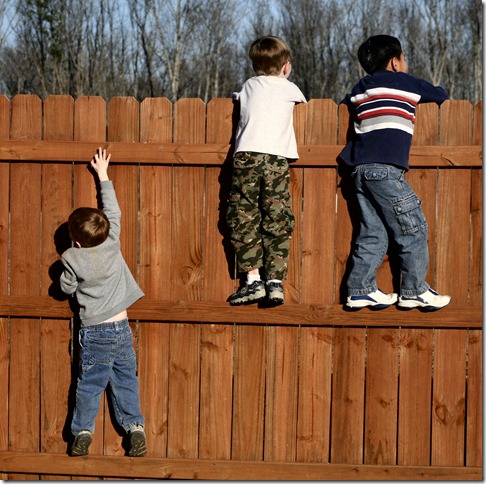 climbing fence