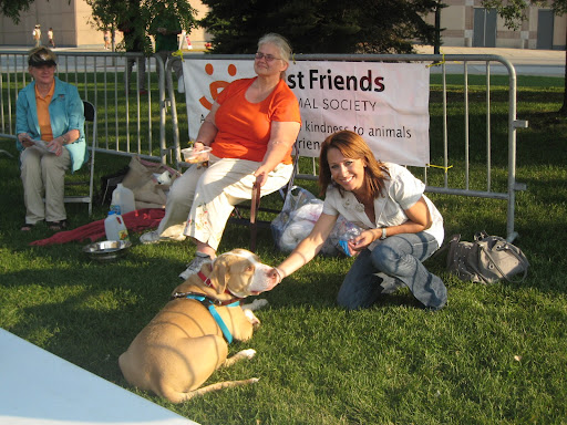 Jamie pets Truman, a very special dog sponsored by the Buehrles. Truman was found on the street, standing guard over the body of a dachshund who had been killed by a car. Such a gentle giant! Jamie pets Truman, a very special dog sponsored by the Buehrles. Truman was found on the street, standing guard over the body of a dachshund who had been killed by a car. Such a gentle giant!