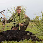 Dud Palm Hog.jpg