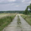 wał w Uradzie dsc05683.jpg