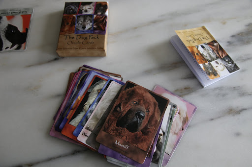 Why, Franny, The Dog Pack is a deck of cards with different dog breeds printed on them.  It says that you use them like tarot cards to get advice.  I thought it would be fun to play with them on a rainy day, like today.