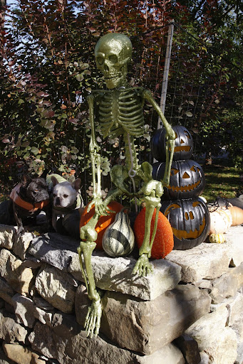 You see? This is just fun Halloween stuff.