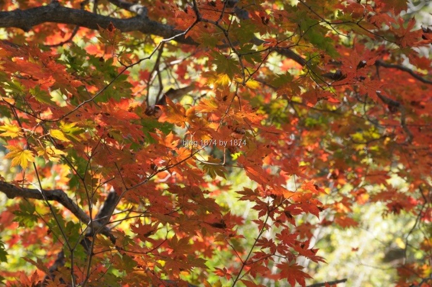 [SYG_4583%255B6%255D.jpg]