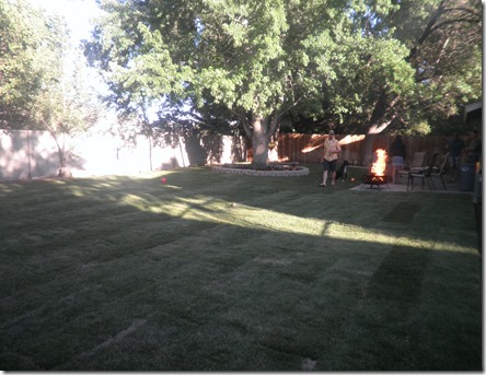 06 15 13 - Sodding my parents backyard (4)