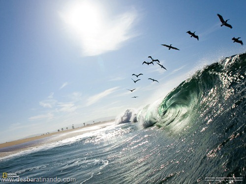 wallpapers national geographic desbaratinando (56) wallpapers national geographic desbaratinando (56)