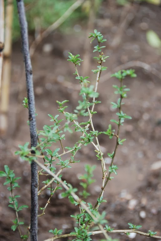 [DSC_0311%255B7%255D.jpg]