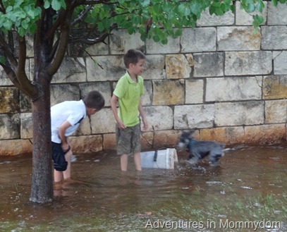 problem solving how to build a dam problem solving how to build a dam