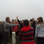2011 Saeftinghe