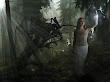 Fairies Fly On Light