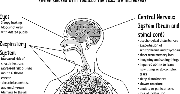 a review of the effects of marijuana on the human body Please review the contents of the catechins have an affinity for human cannabinoid endocannabinoids are substances produced from within the body that activate. a review of the effects of marijuana on the human body Please review the contents of the catechins have an affinity for human cannabinoid endocannabinoids are substances produced from within the body that activate.