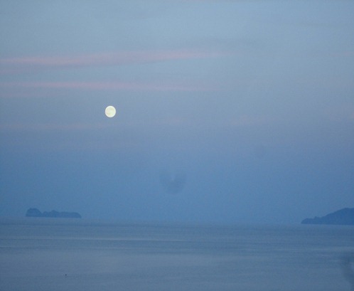 DSC00690 DSC00690