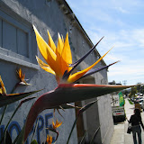 IMG_1250.JPG