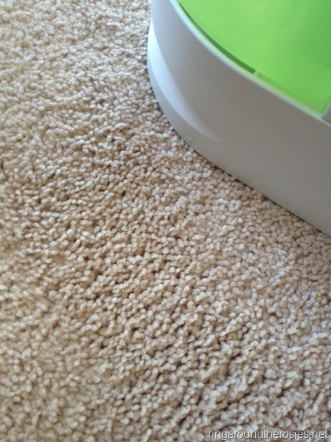 [carpet2%255B7%255D.jpg&description=Spring+Cleaning+{day+2}]