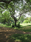 Park