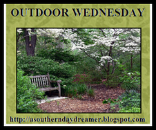 Outdoor_Wednesday_logo