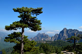 DSC_0297.JPG