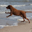 _MG_7584.jpg