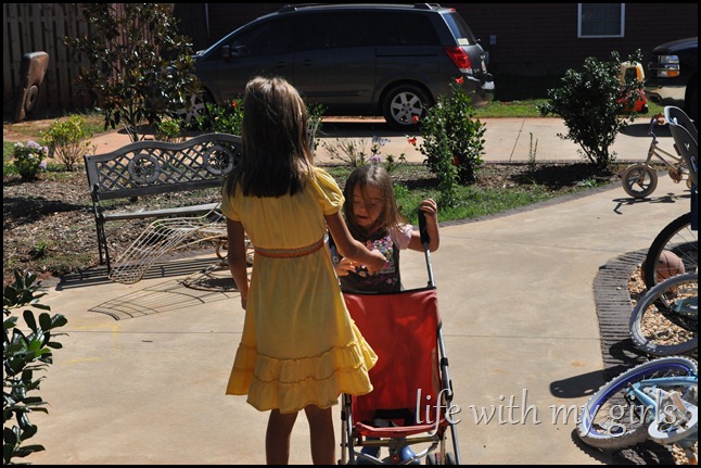 DSC_0236 DSC_0236