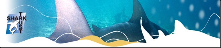 Shark Trust Logo Header