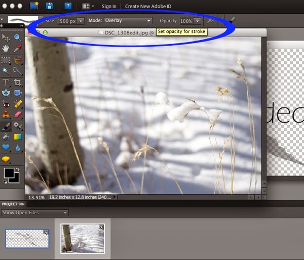 brushdetails.jpg Brushdetails