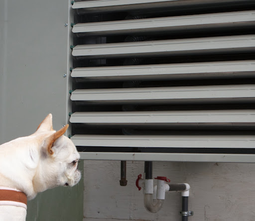 Franny, I definitely feel a nice warm breeze coming from these heater ducts.  So, all systems go!