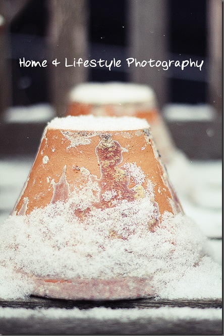 Home & Lifestyle Home & Lifestyle