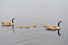 DSC_0033.JPG