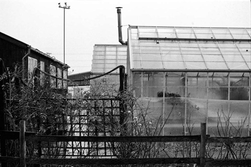 Student-Greenhouses-2