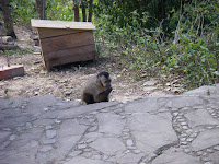 IMGP1682.JPG