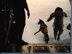 Parachuting in K9 Tactical Assault Suits2 Parachuting in K9 Tactical Assault Suits2