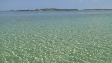 [DSC01844%255B5%255D.jpg]