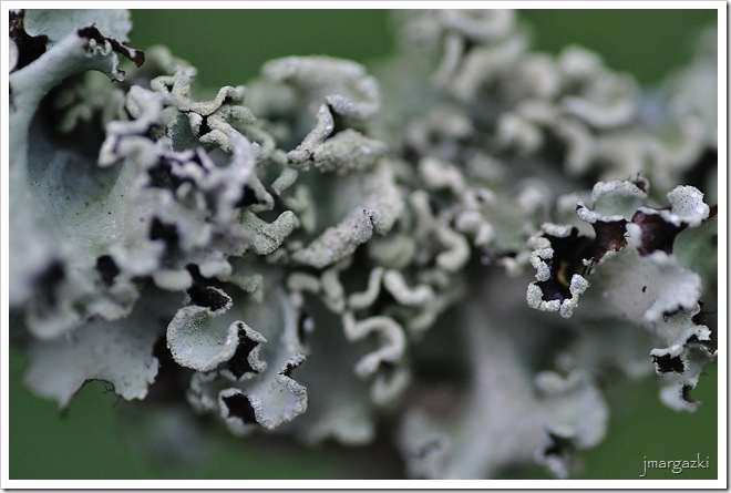 DSC_8416 DSC_8416