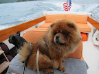Francesca, as quartermaster you're responsible for the ship's navigation and maintenance of nautical charts and maps.