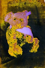 Split-Toned-Prints---Bears-1-G