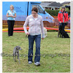 Pet Dogs 030.jpg