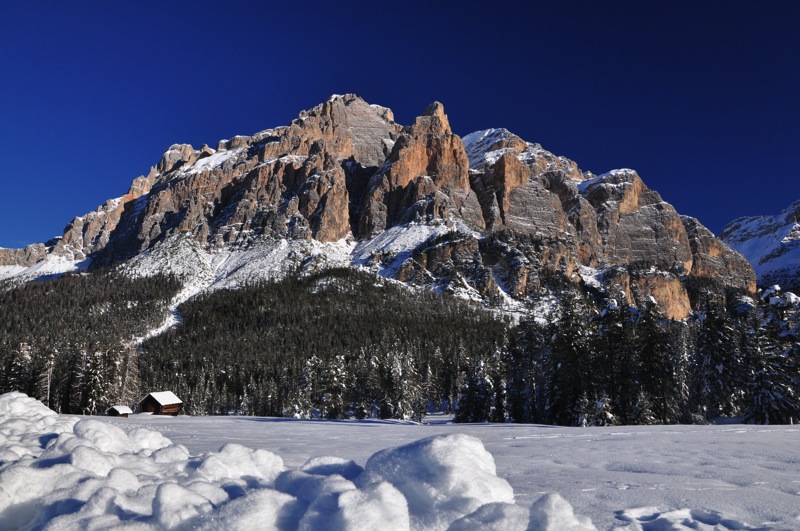 DSC_6001.JPG DSC 6001