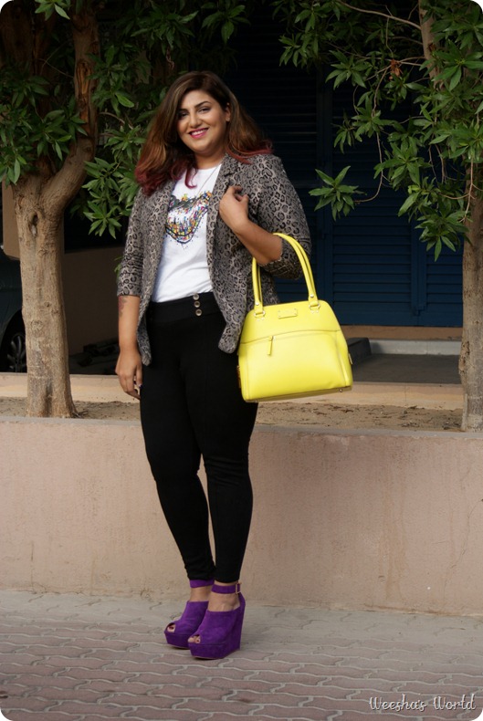 SONY DSC