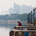 IMG_8433.jpg
