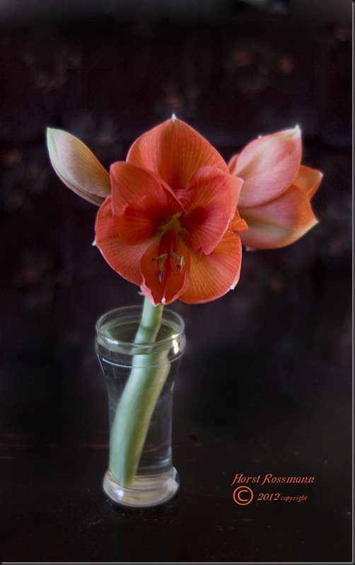 Pretty seedling flower in a glass copy