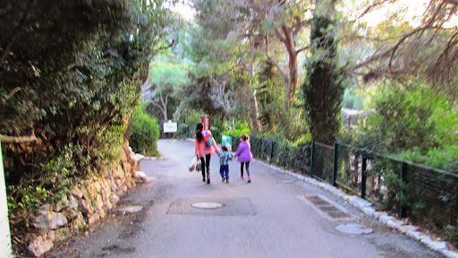 i sem'ya v zooparke.jpg