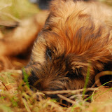 Abi - DSC_0082.jpg