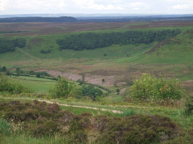 [JH%252030%2520Jun%2520Whitby%2520to%2520Newark-on-Trent%2520010%255B3%255D.jpg]