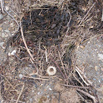 IMG_8661.JPG