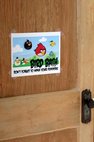Angry Birds Party 193