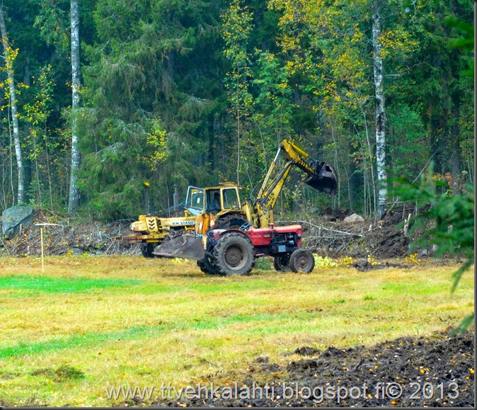 sienimetsällä 034 sienimetsällä 034