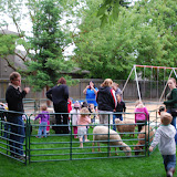Petting Zoo 2011 Mission Avenue Preschool