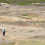 Dans la Savane des Pétrifications