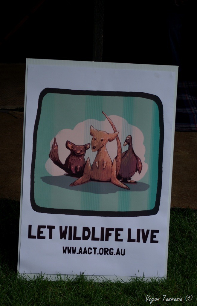 [animalfest7%255B9%255D.jpg]