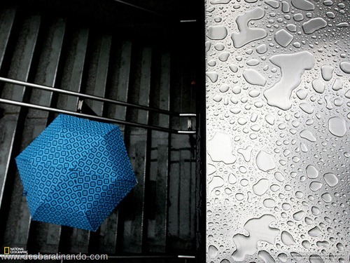 wallpapers national geographic desbaratinando (31) wallpapers national geographic desbaratinando (31)