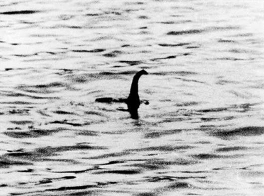 clip_image001 clip_image001